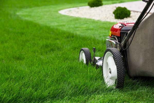 Cost of Grass Cutting Service in Mequon
