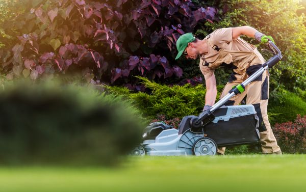 Cost of Lawn Care And Maintenance in Mequon