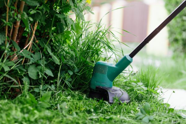 Cost of Weed Whacking in Mequon