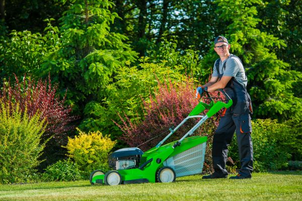 Cost of Yard Work Service in Mequon
