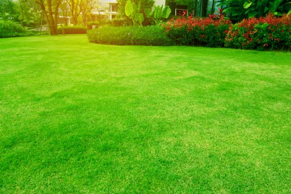 Cost of Grass Maintenance in Mequon