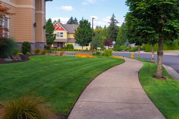 Cost of Home Lawn Maintenance in Mequon