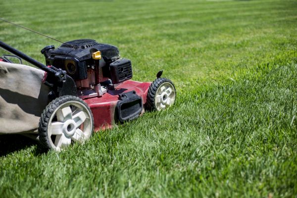 Cost of Routine Lawn Care in Mequon
