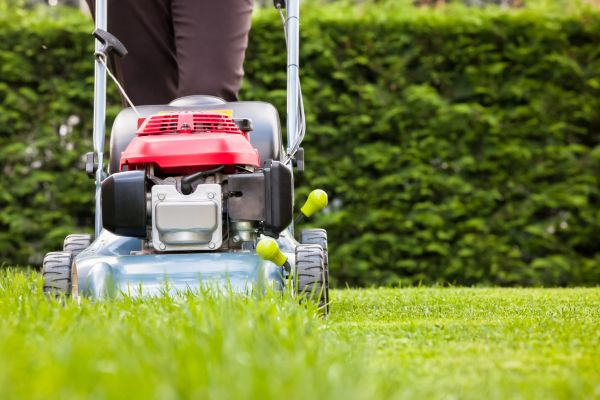 Cost of Grass Trimming Service in Mequon