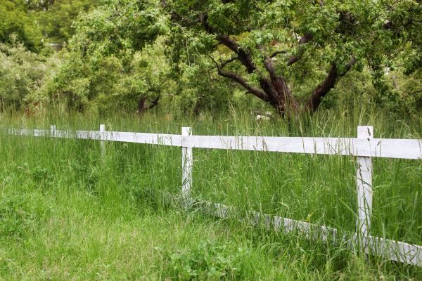 Cost of Fence Line Trimming in Mequon