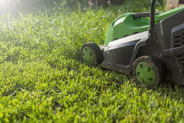Cost of Yard Trimming in Mequon