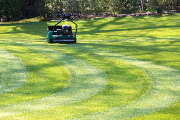 Business Lawn Mowing in Mequon