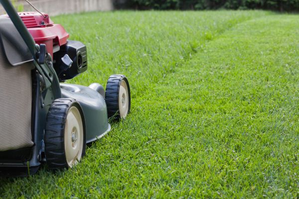 Cost of Spring Lawn Maintenance in Mequon