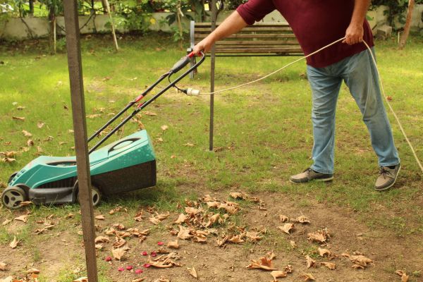 Cost of Leaves Mowing in Mequon