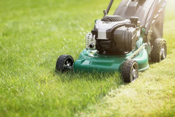 Cost of Spring Grass Trimming in Mequon