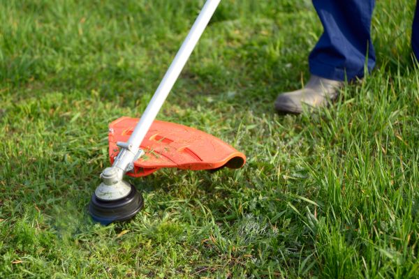 Cost of Lawn Weed Whacking in Mequon