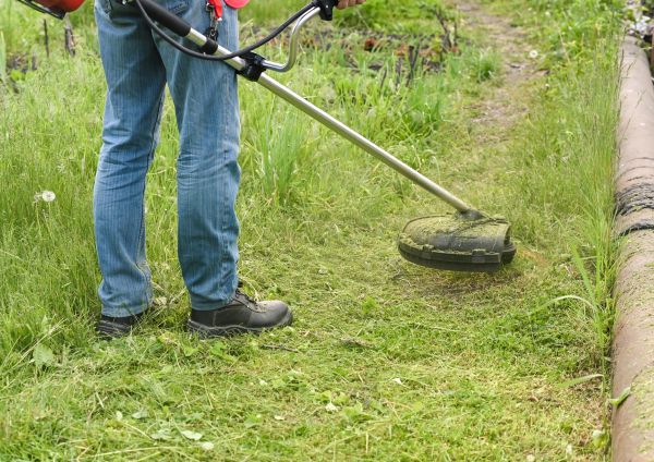 Cost of Tall Grass Trimming in Mequon