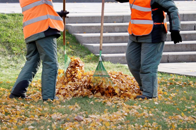 Removing Leaves Safely